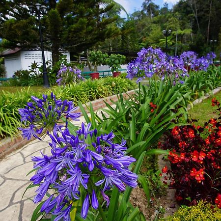 Spot On 89751 Bed Station Guest House Tanah Rata Ngoại thất bức ảnh