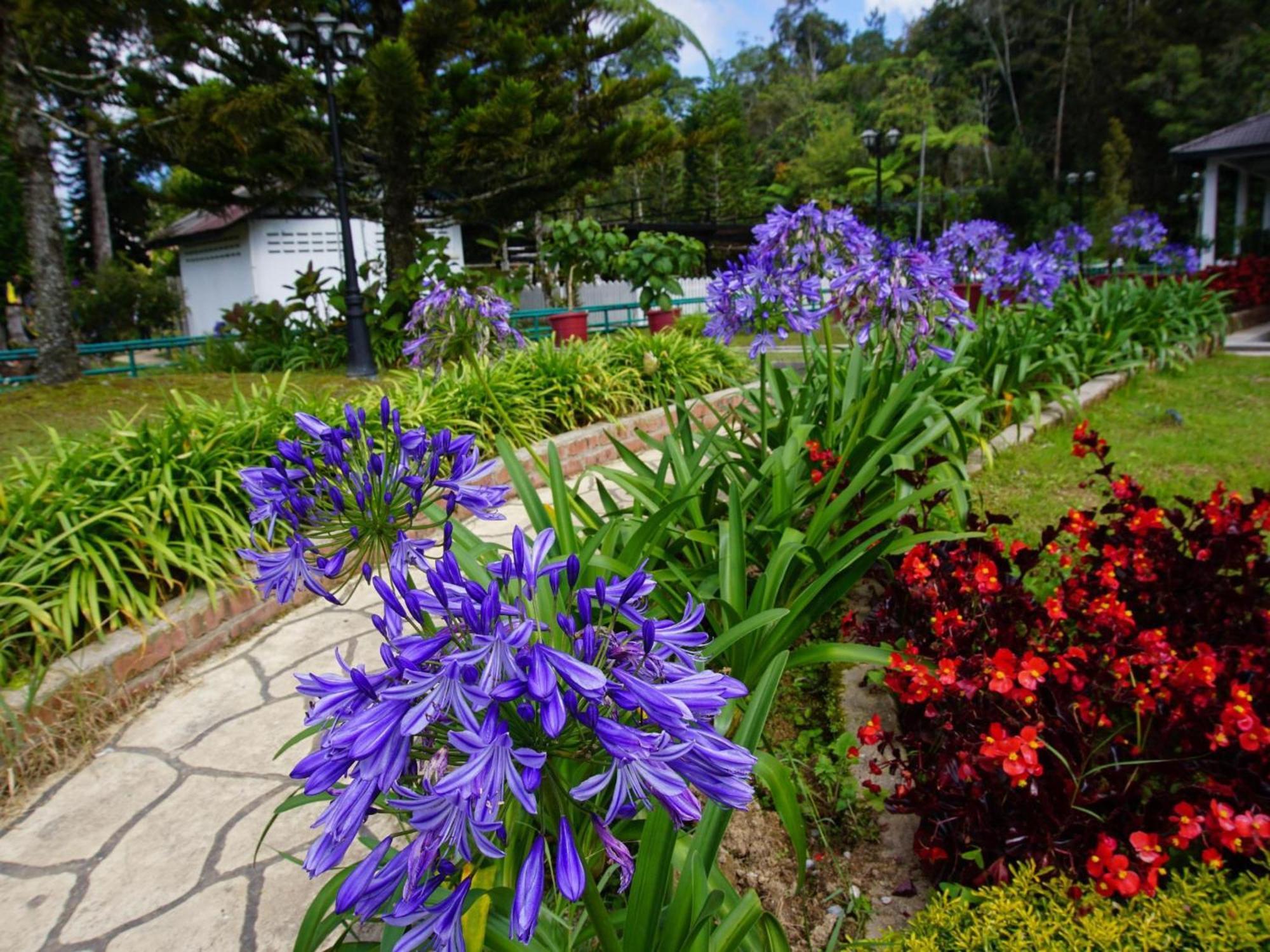 Spot On 89751 Bed Station Guest House Tanah Rata Ngoại thất bức ảnh