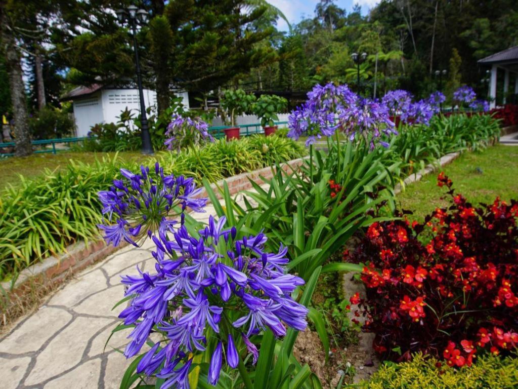 Spot On 89751 Bed Station Guest House Tanah Rata Ngoại thất bức ảnh